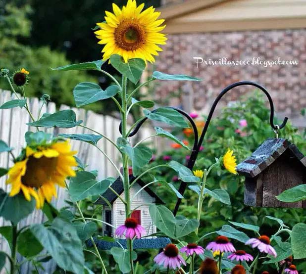 Scattered Sunflowers in a Classic Garden #sunflower #garden #decorhomeideas