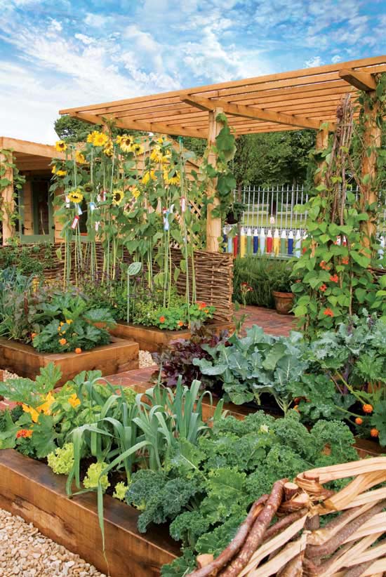 Sunflower Privacy Wall with a Wooden Pergola #sunflower #garden #decorhomeideas