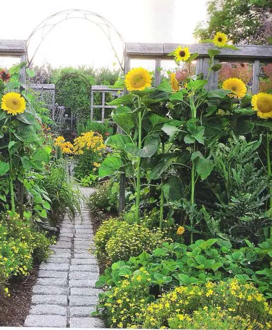 Sunflowers Line a Brick Garden Walk #sunflower #garden #decorhomeideas