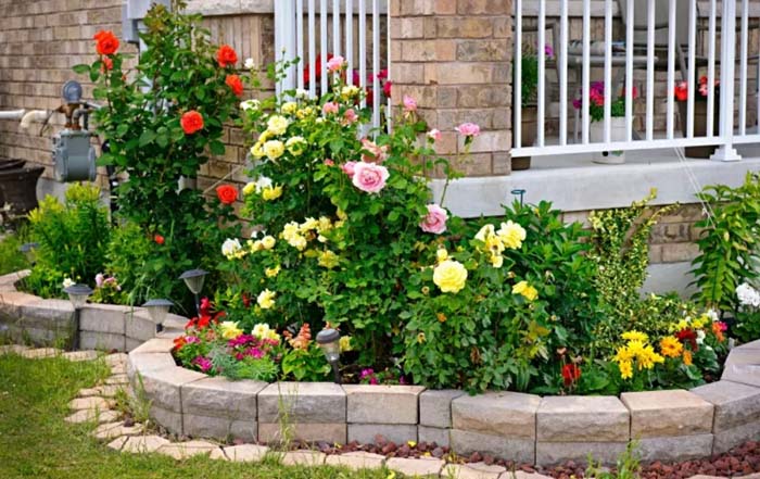 The Garden of Vitality #rosegarden #roses #decorhomeideas