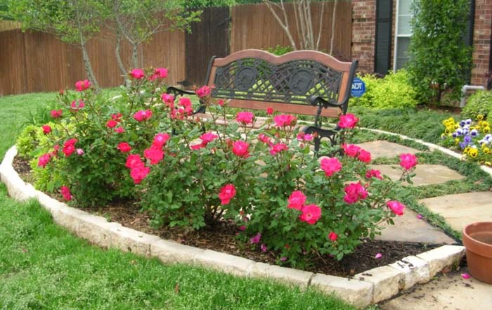 The Healing Garden #rosegarden #roses #decorhomeideas