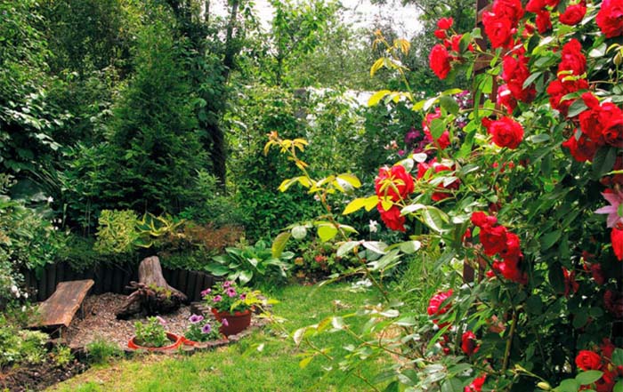 The Romantic Freestyle Garden #rosegarden #roses #decorhomeideas