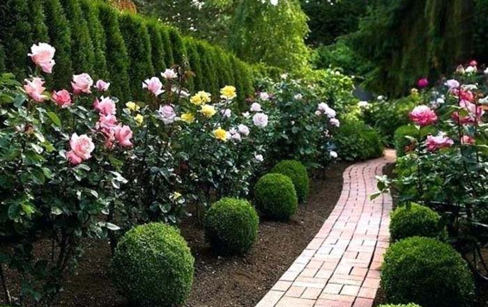 The Sensual Scent of a Rosed Pathway #rosegarden #roses #decorhomeideas