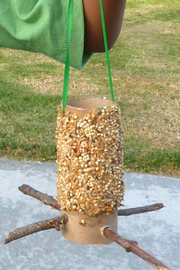 Toilet Paper Roll Bird Feeder #kidscrafts #toiletpaperroll #decorhomeideas