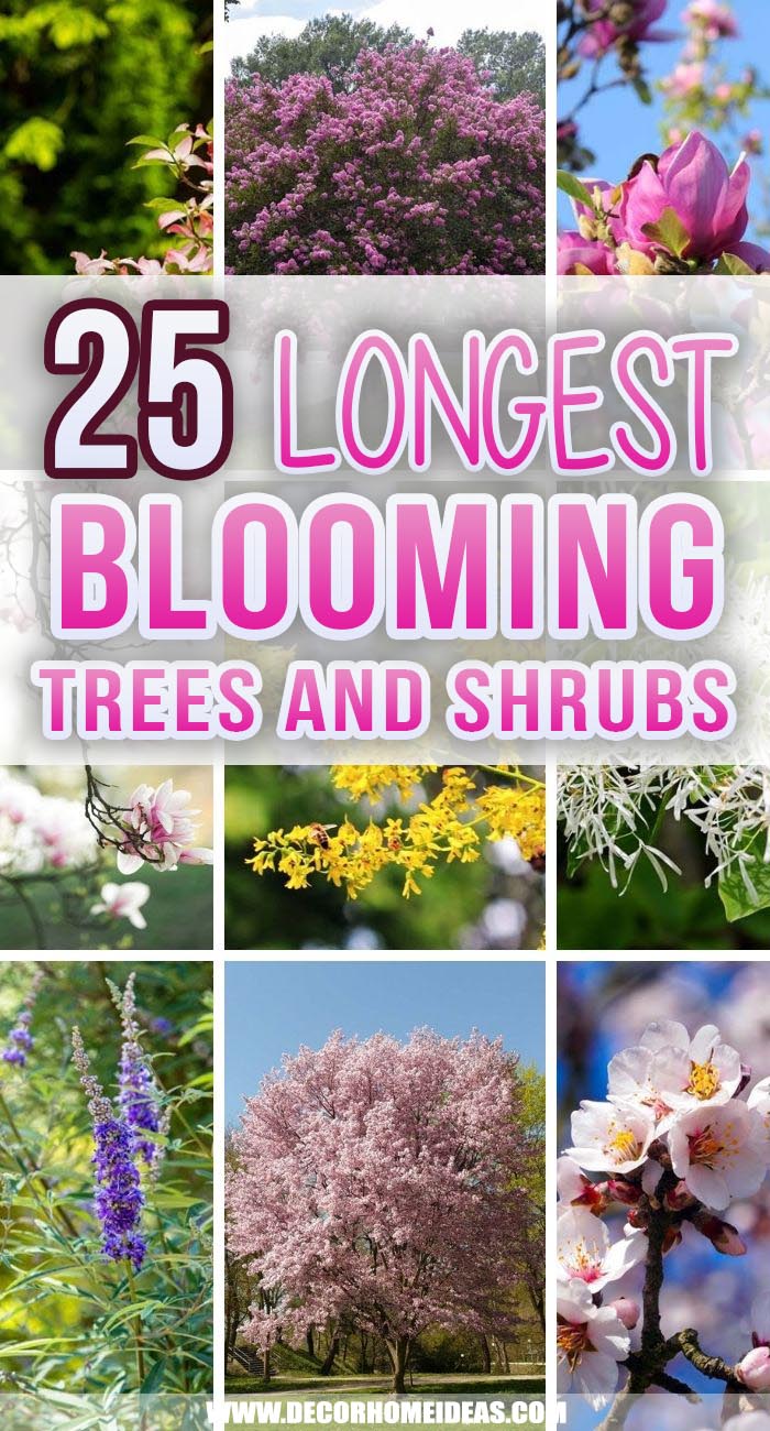 Best Longest Blooming Trees And Shrubs. Make your garden more vibrant with these amazing flowering trees and shrubs,. Choose your favorite and plant it today. #decorhomeideas