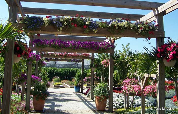 Botanical Promenade Pergola With Planter Implements #pergola #pergolaideas #pergoladesign #decorhomeideas