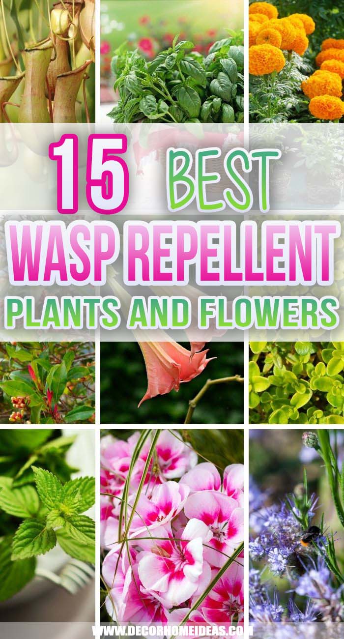 Best Wasp Repellent Plants. These are the best wasp repellent plants to include in your landscaping that are gorgeous and also keep those nasty wasps away without toxic chemicals.   #decorhomeideas