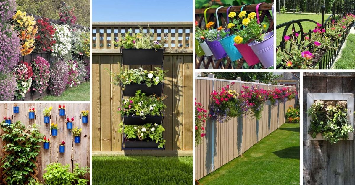 Fence Planters Ideas And Designs