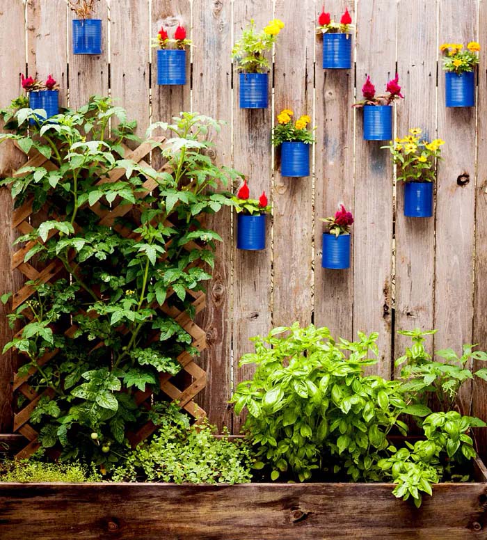 Painted Cans #fenceplanters #fenceflowerpots #decorhomeideas