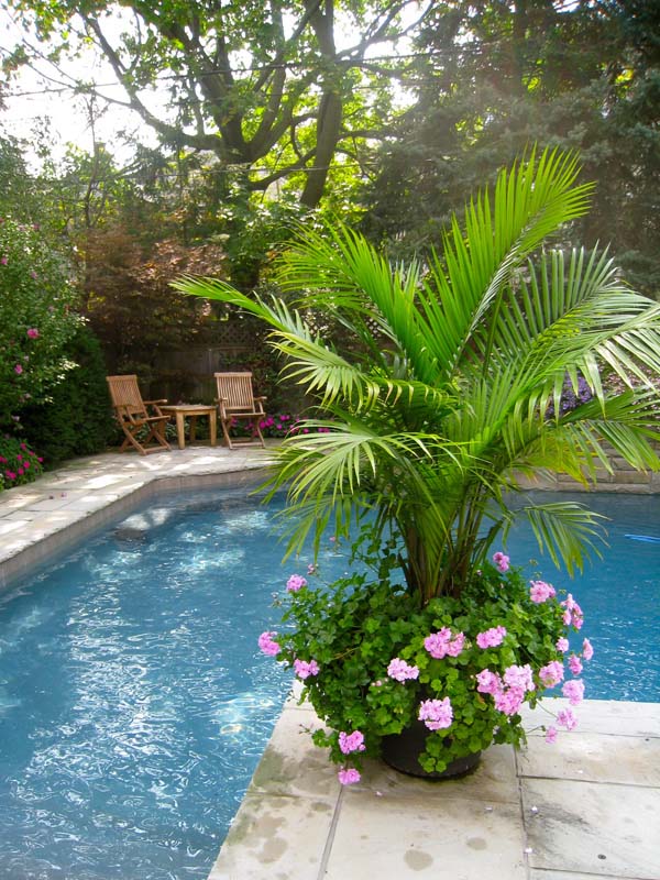 Perfect Poolside Plants #pooldecorideas #diypooldecor #decorhomeideas