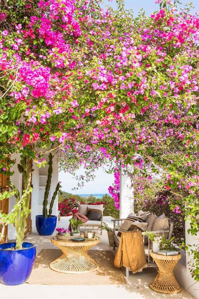 Rustic Mediterranean Patio with a Floral Ceiling #rusticpatioideas #rusticpatio #decorhomeideas