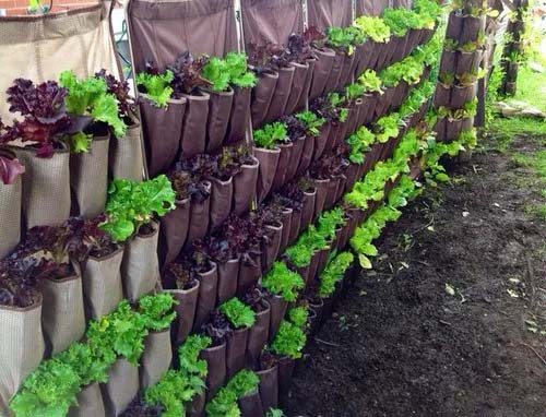 Shoe Organizer #fenceplanters #fenceflowerpots #decorhomeideas