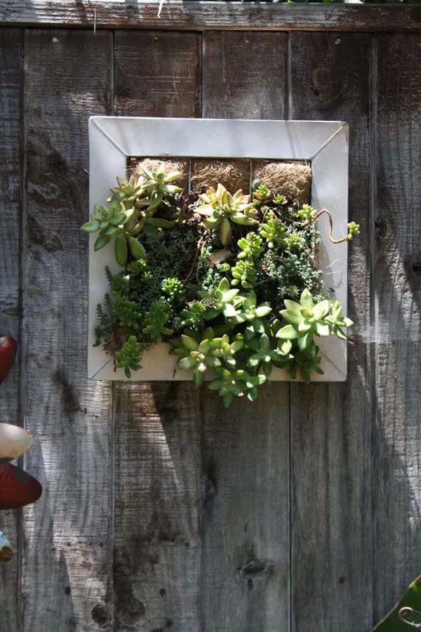 Vertical Fence Planter for Succulents #fenceplanters #fenceflowerpots #decorhomeideas