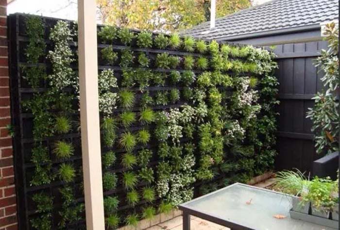 Vertical Succulent and Ivy Wall #fenceplanters #fenceflowerpots #decorhomeideas