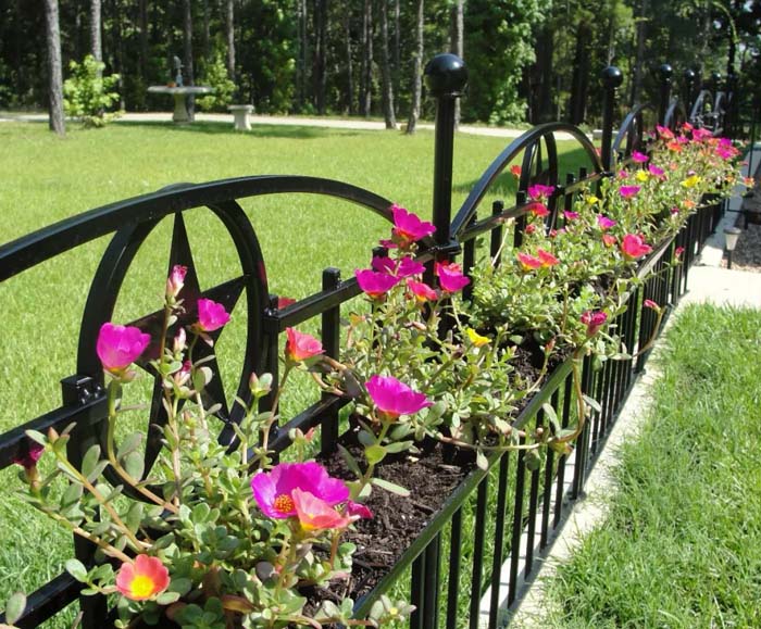 Wrought Iron Fence with Built In Baskets #fenceplanters #fenceflowerpots #decorhomeideas