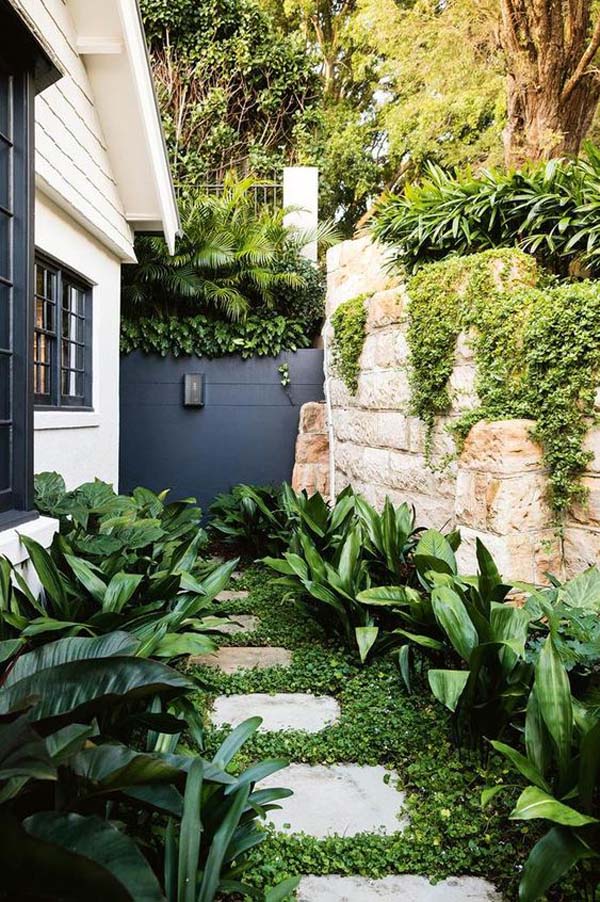 Carefully Controlled Nature #sideyard #sidegarden #decorhomeideas