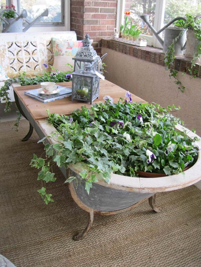 Cast Iron Tub with Pansies and Ivy #repurposedplanter #repurposedcontainer #decorhomeideas