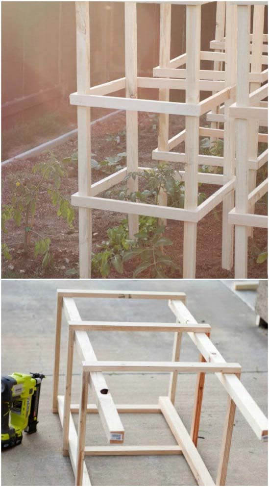 Cheap Wooden Tomato Cage #plantsupport #tomatocage #decorhomeideas
