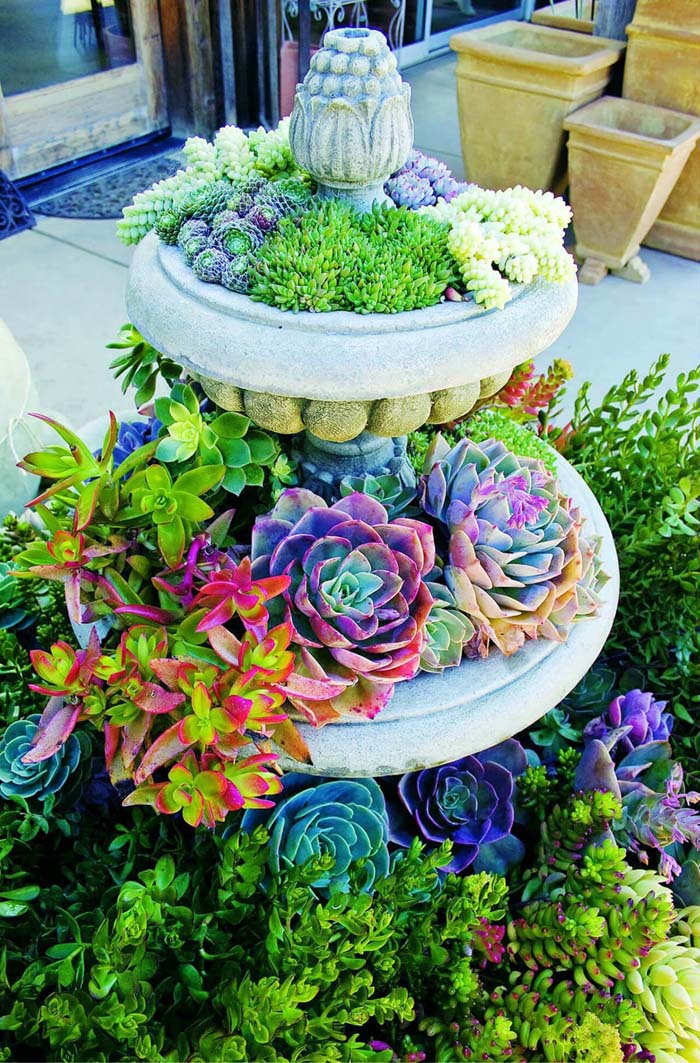 Colorful Succulents in an Elegant Birdbath #repurposedplanter #repurposedcontainer #decorhomeideas