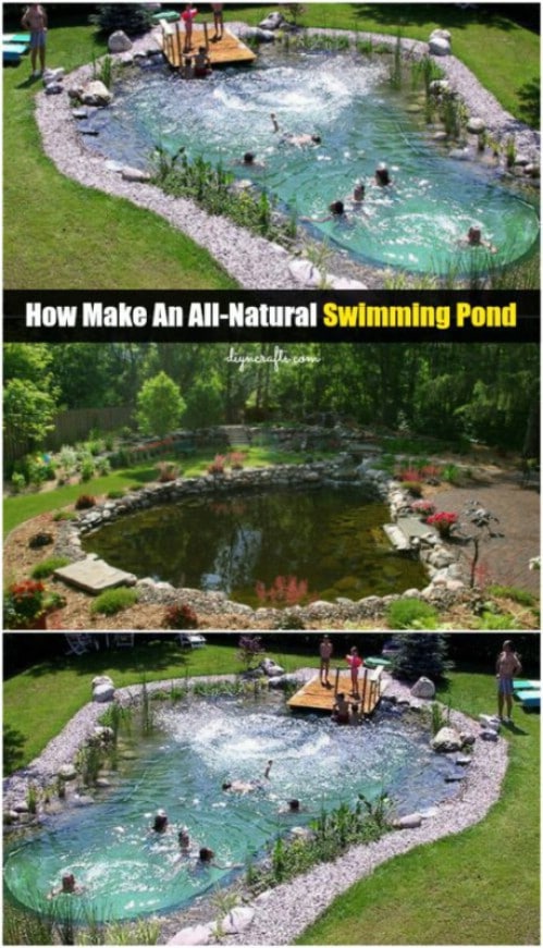 Construct a Natural Swimming Pool Yourself #poolhacks #diypool #decorhomeideas