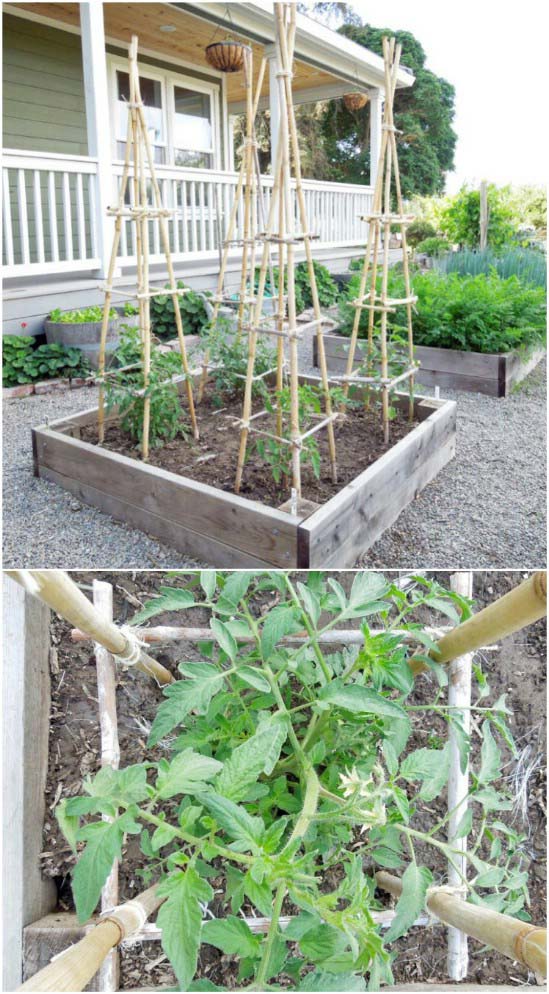 DIY Bamboo And Twine Towers #plantsupport #tomatocage #decorhomeideas