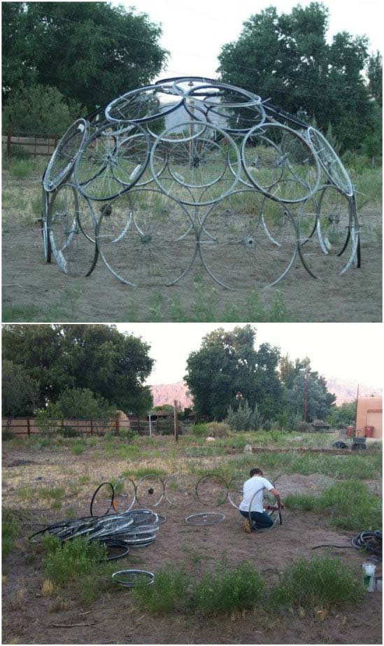 DIY Bike Wheel Dome Plant Support #plantsupport #tomatocage #decorhomeideas