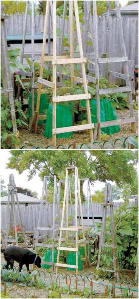 DIY Folding Ladder Tomato Cages #plantsupport #tomatocage #decorhomeideas