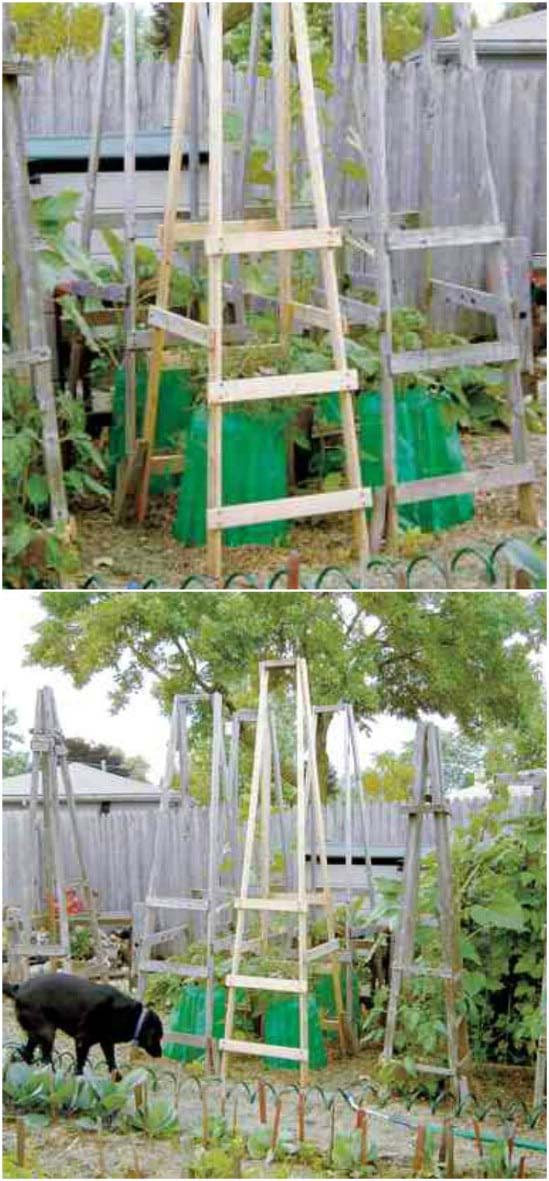 DIY Folding Ladder Tomato Cages #plantsupport #tomatocage #decorhomeideas
