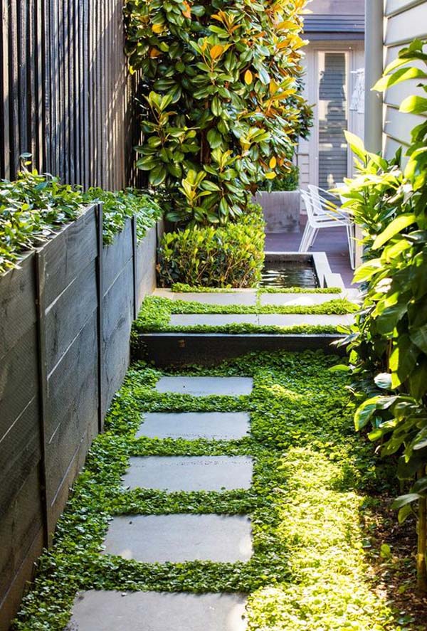 Green and Glorious Tiny Side Yard Idea #sideyard #sidegarden #decorhomeideas