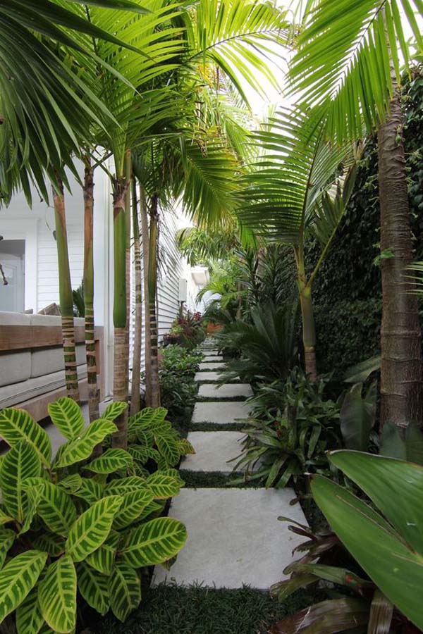 Green Jungle Walkway #sideyard #sidegarden #decorhomeideas
