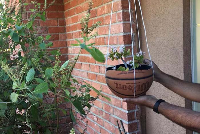 Hanging Basketball Planter #gardenplanter #diygardenplanter #decorhomeideas