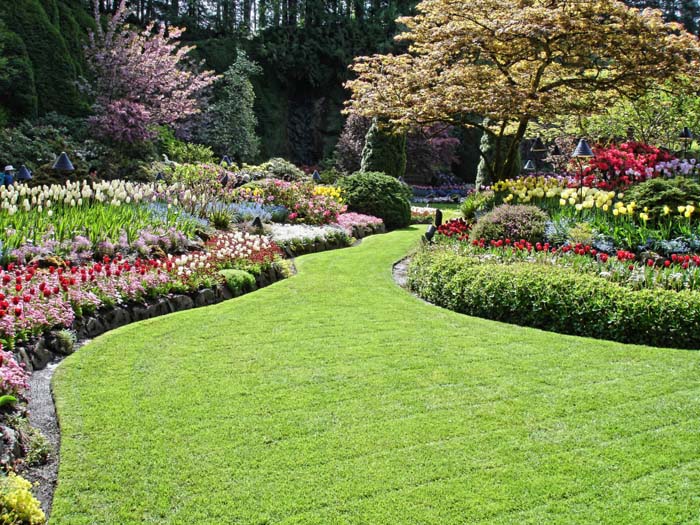 Hills of Flowers #backyardlandscaping #decorhomeideas