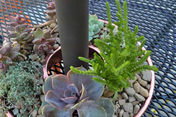 Jello Mold Umbrella Stand Planter #gardenplanter #diygardenplanter #decorhomeideas