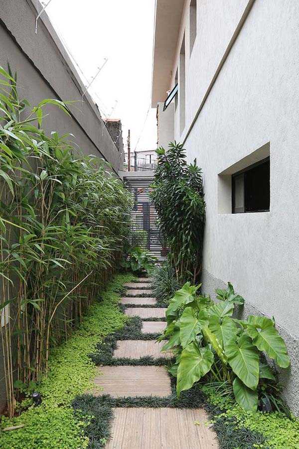Low-Maintenance Jungle Side Yard #sideyard #sidegarden #decorhomeideas