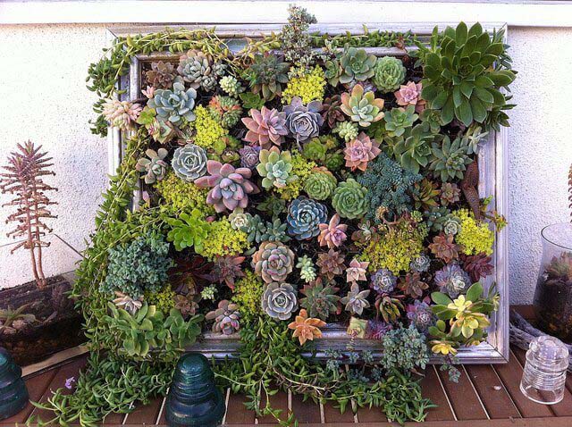Lush Succulents in a Standing Frame #repurposedplanter #repurposedcontainer #decorhomeideas