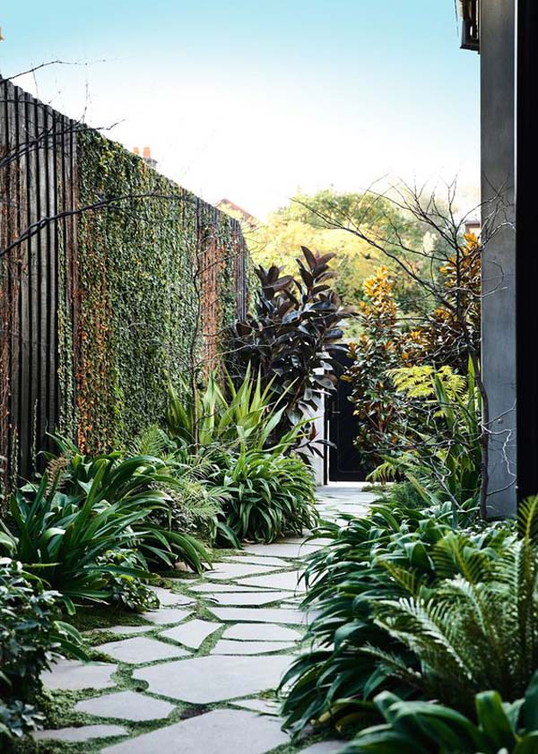 Lush Tropical Walkway with a Fence #sideyard #sidegarden #decorhomeideas