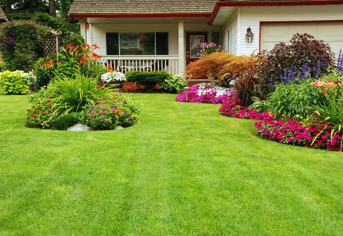 Mountains of Plants #backyardlandscaping #decorhomeideas