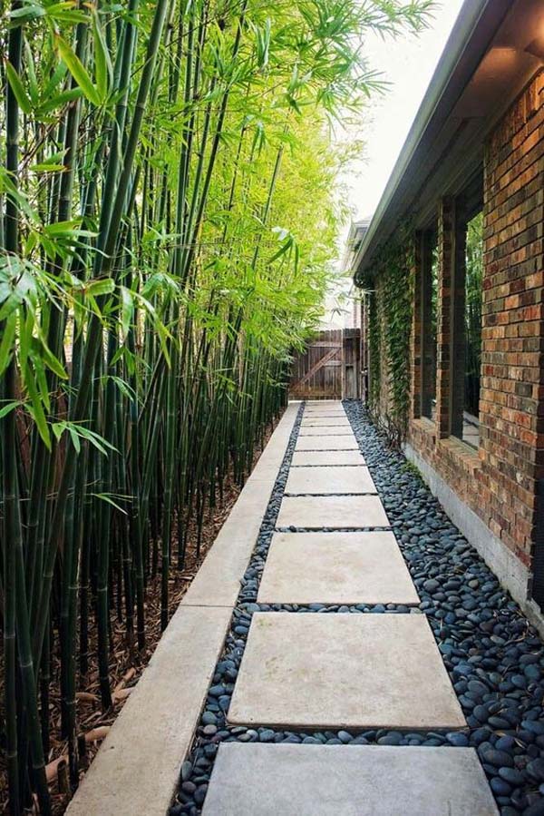 Narrow Zen Garden Side Yard #sideyard #sidegarden #decorhomeideas