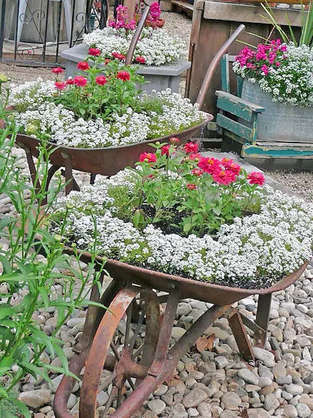 Old Wheelbarrows as Container Gardens #gardenplanter #diygardenplanter #decorhomeideas