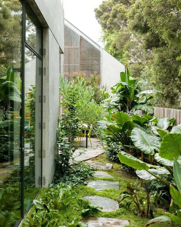 Organic, Overgrown Jungle Path #sideyard #sidegarden #decorhomeideas