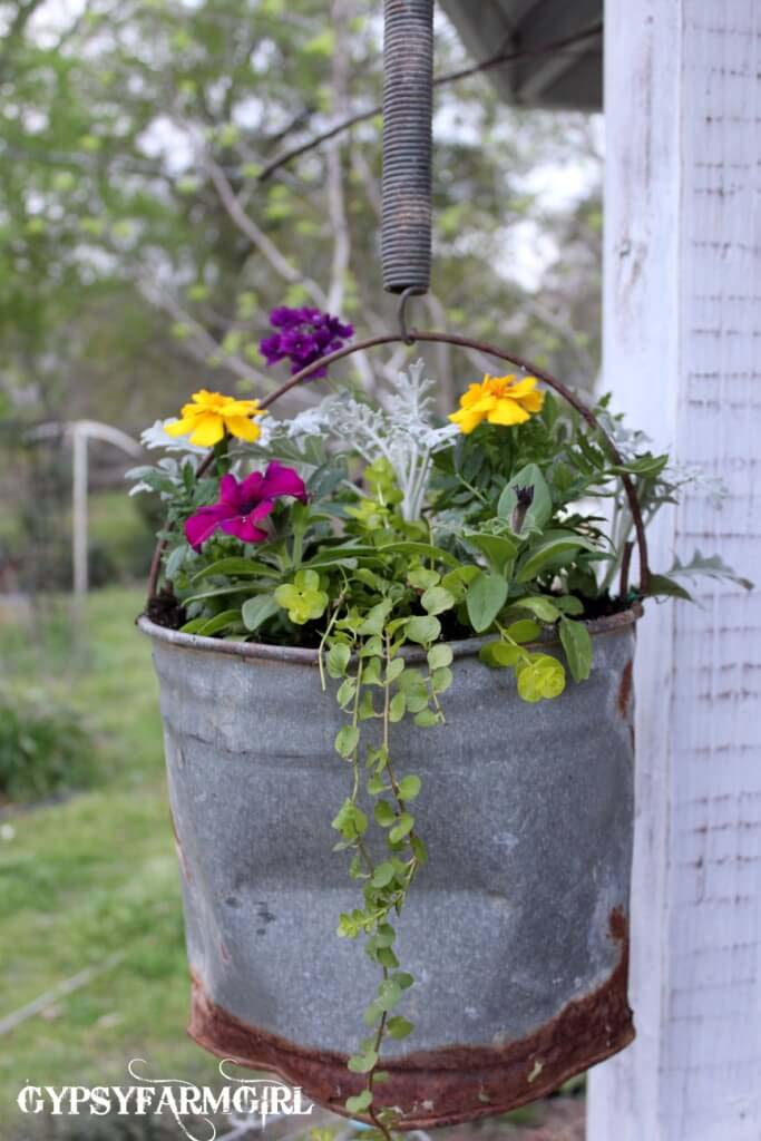 Pail Hung by an Old Spring #repurposedplanter #repurposedcontainer #decorhomeideas