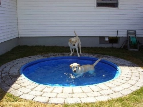 Place Your Pool in the Ground #poolhacks #diypool #decorhomeideas