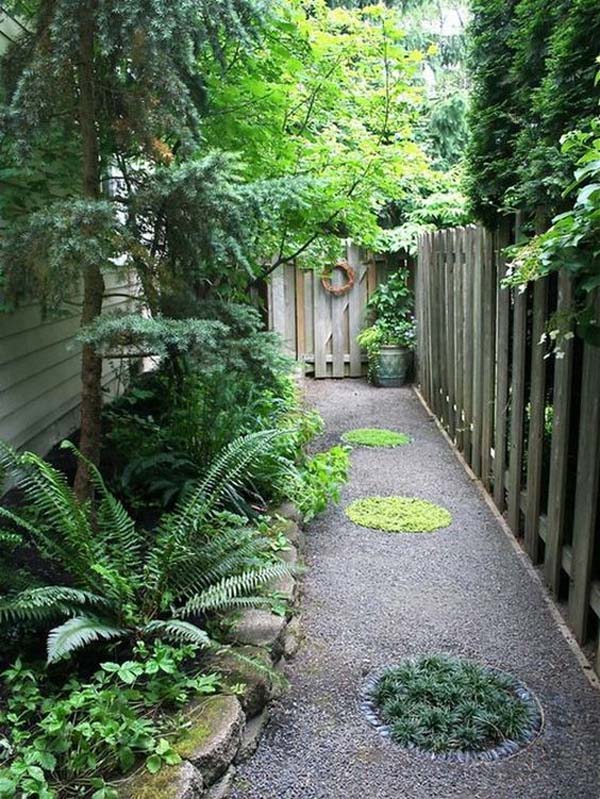 Relaxing Rainforest Walk #sideyard #sidegarden #decorhomeideas