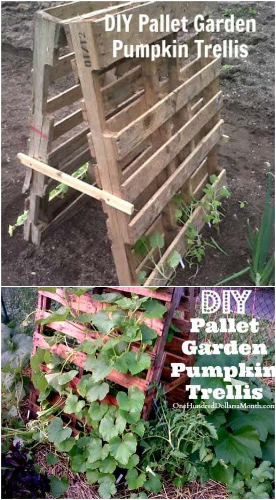 Repurposed Pallet Plant Trellis #plantsupport #tomatocage #decorhomeideas