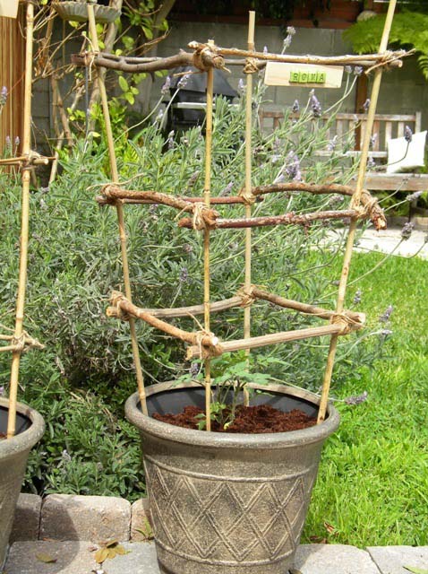 Stick and Bamboo DIY Tomato Cages #plantsupport #tomatocage #decorhomeideas