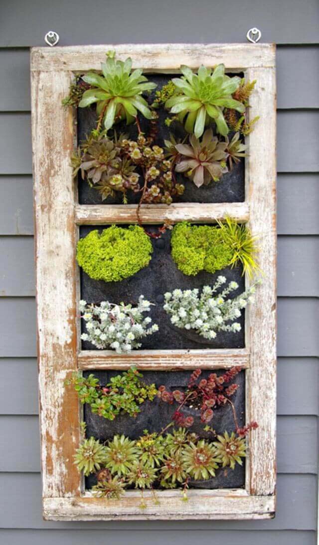 Succulents in a Window Frame #repurposedplanter #repurposedcontainer #decorhomeideas