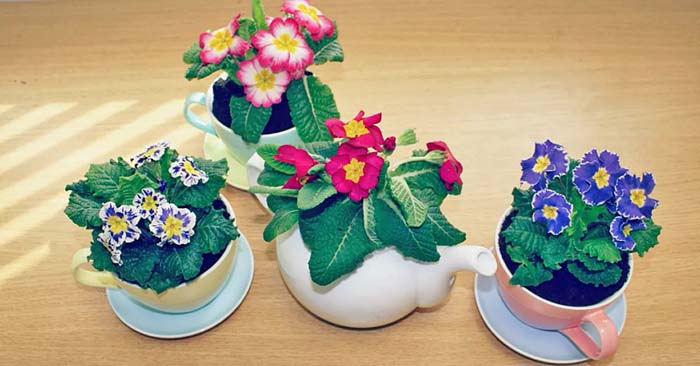 Tea Time Planters #gardenplanter #diygardenplanter #decorhomeideas