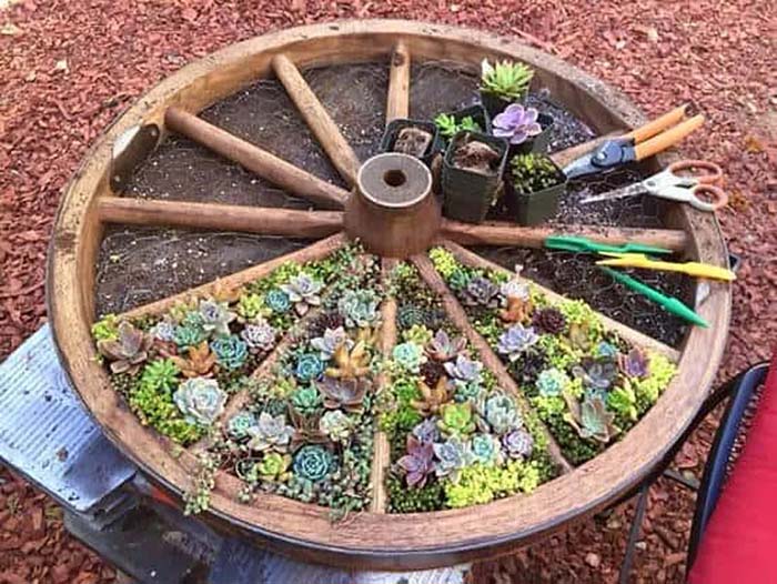 Wagon Wheel Container Garden #gardenplanter #diygardenplanter #decorhomeideas