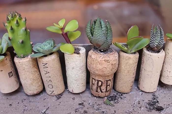 Wine Cork Mini Planters #gardenplanter #diygardenplanter #decorhomeideas