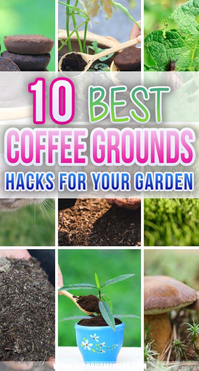 Best Ideas How To Use Coffee Grounds In Your Garden. There are plenty of ways you can reuse your coffee grounds around the house and in your garden. Coffee grounds are used as fertilizers, mulching or pest repellents. #decorhomeideas